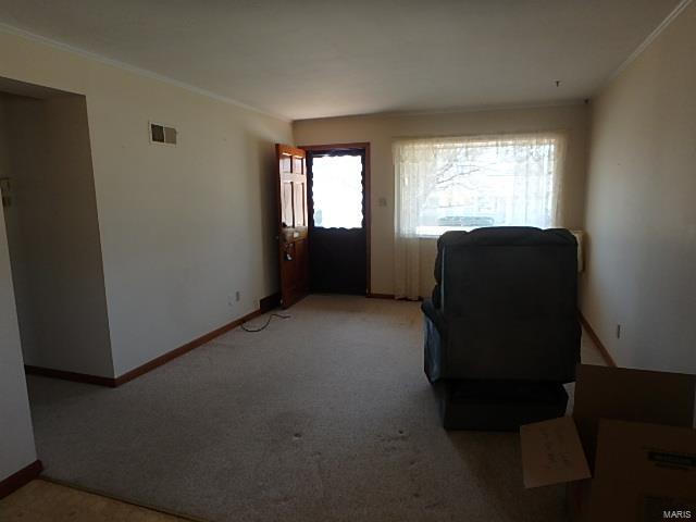 805 Mullanphy Road Florissant, MO 63031 - Photo 19 of 30 Gallery Image 19