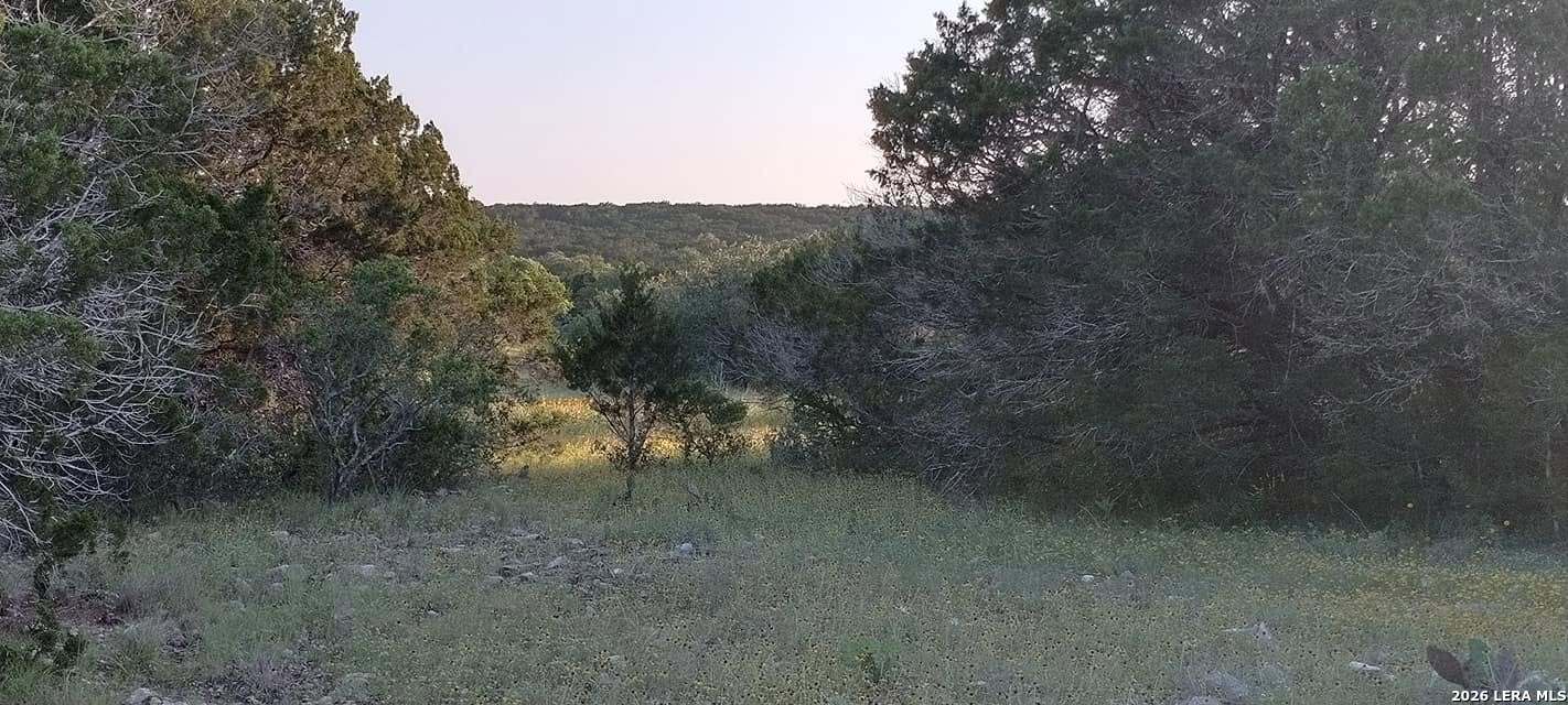 116 Leona Ranch Road Brackettville, TX 78832 - Photo 6 of 24 Gallery Image 6