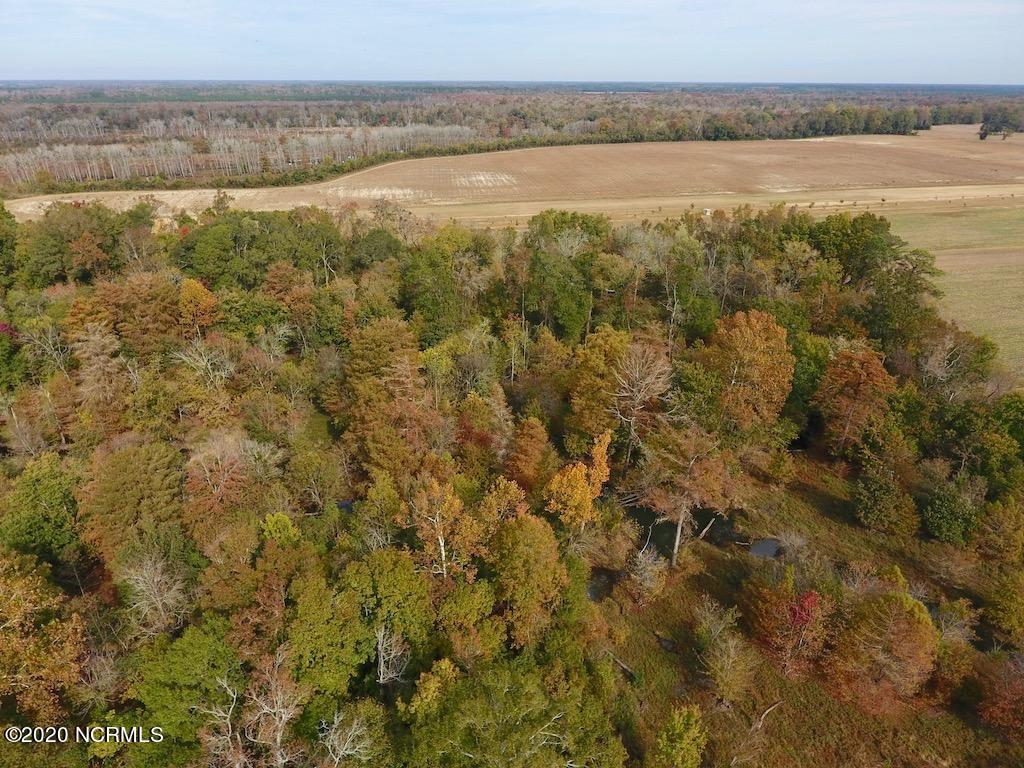 0 Biddle Road Dover, NC 28526 - Photo 12 of 35 11
