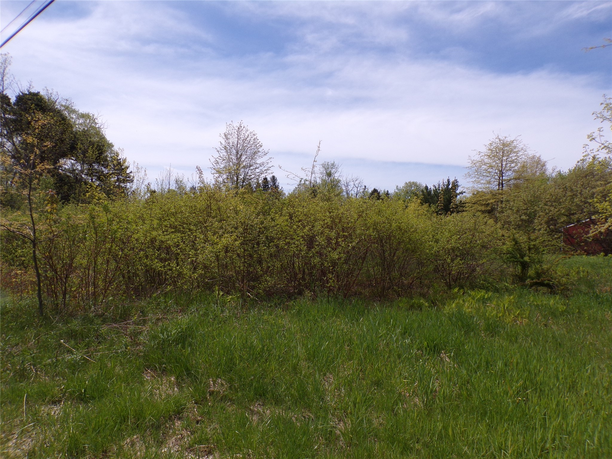 Pagan Road Erie, PA 16509 - Photo 1 of 6 Gallery Image 1