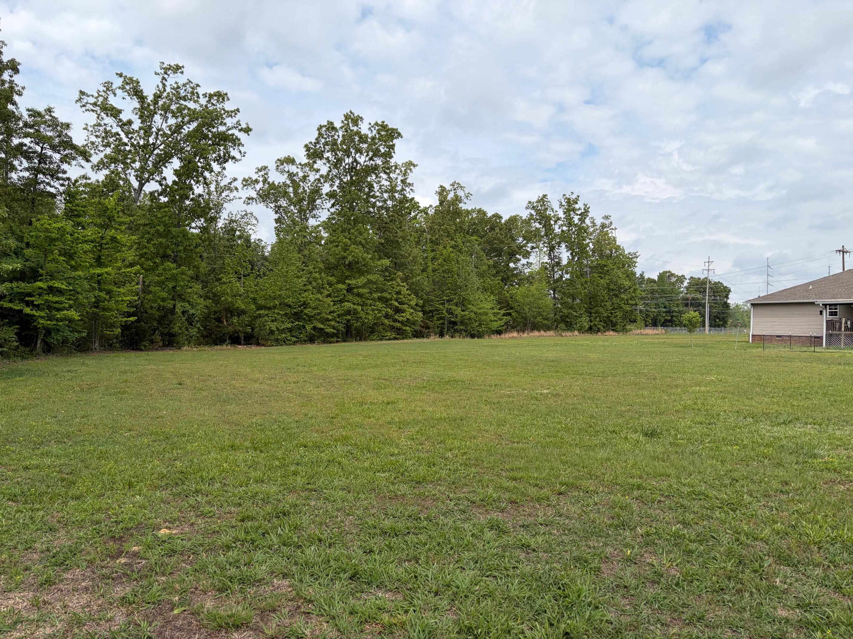 1255 Elm Road Adamsville, TN 38310 - Photo 32 of 32 a view of a field with an trees