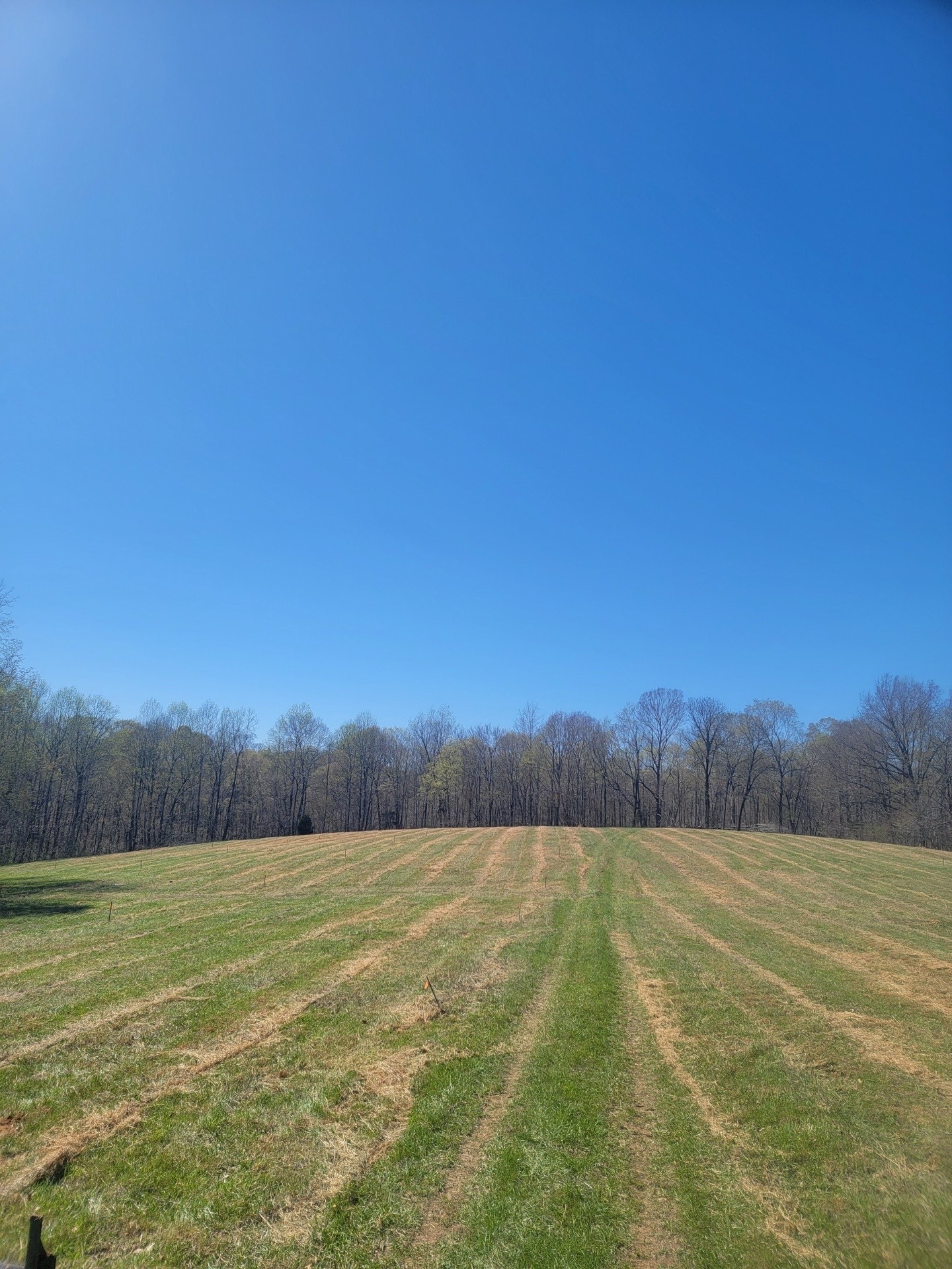 900 Wiley Brown Road Clarksville, TN 37043 - Photo 1 of 5 Gallery Image 1