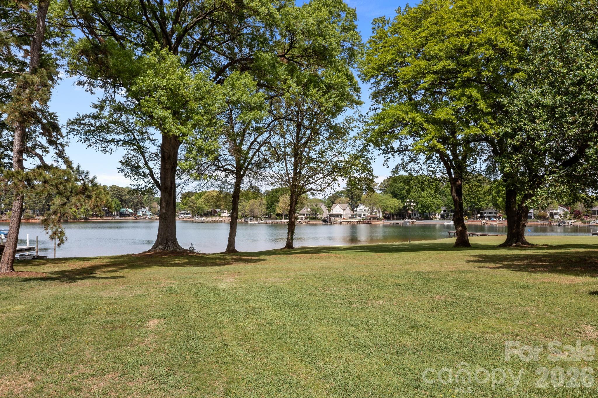 21422 Bethel Church Road Cornelius, NC 28031 - Photo 4 of 19 a view of pool with trees