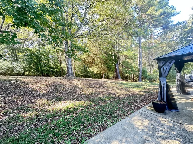 a view of outdoor space and yard