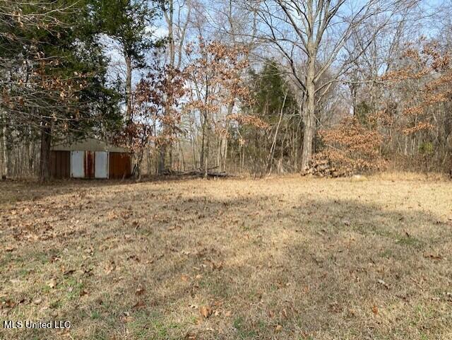 1939 Barr Road Coldwater, MS 38618 - Photo 23 of 25 Back Yard