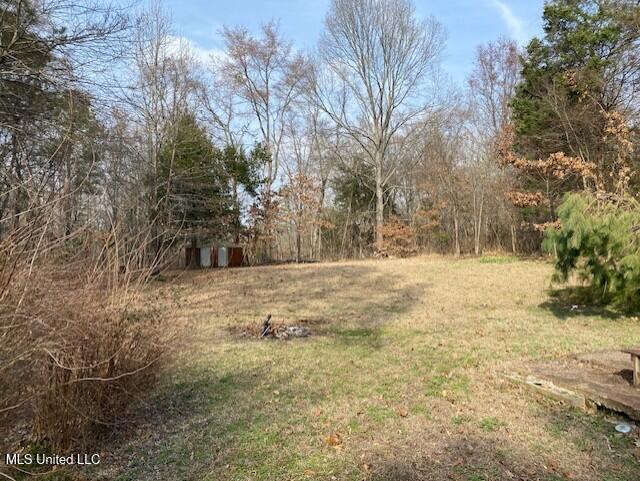 1939 Barr Road Coldwater, MS 38618 - Photo 24 of 25 Back yard