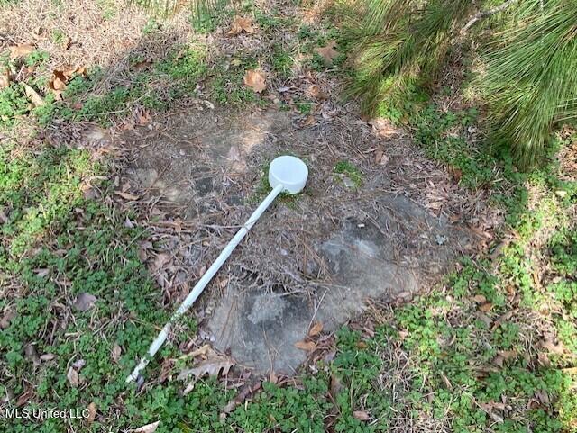 1939 Barr Road Coldwater, MS 38618 - Photo 25 of 25 Yard