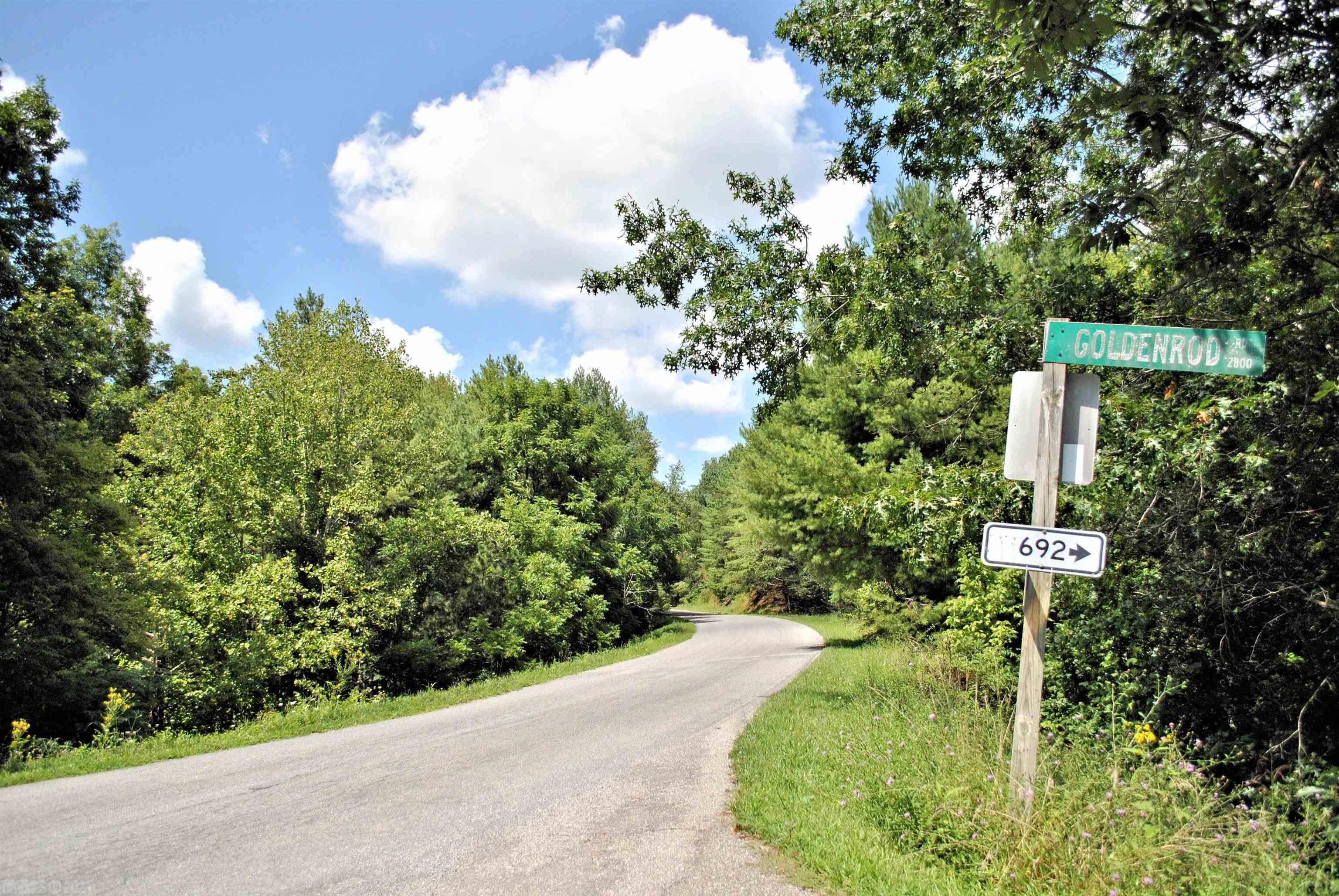 Tbd 153.054-ac Tbd 153.054-ac Chestnut Ridge Road Riner, VA 24149 - Photo 30 of 31 Gallery Image 30