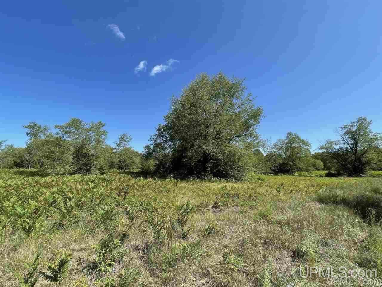 220 W Ford Lake Road Germfask, MI 49836 - Photo 1 of 26