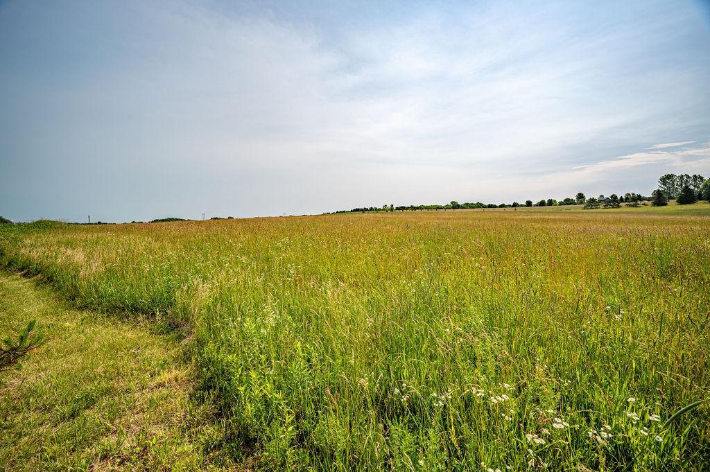 N8780 Van Buren Road Spring Valley, WI 54767 - Photo 12 of 13