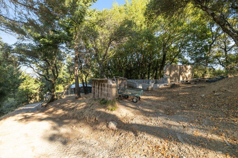 101 Silverline Road Los Gatos, CA 95033 - Photo 12 of 19 a view of a park with large trees