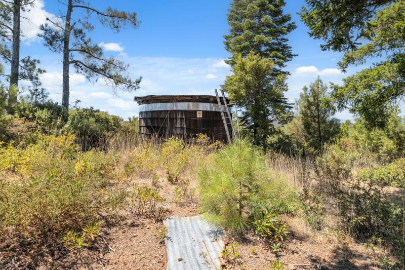 101 Silverline Road Los Gatos, CA 95033 - Photo 13 of 19 a backyard of a house with lots of green space