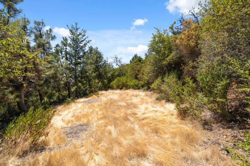 101 Silverline Road Los Gatos, CA 95033 - Photo 14 of 19 a view of a yard with a tree