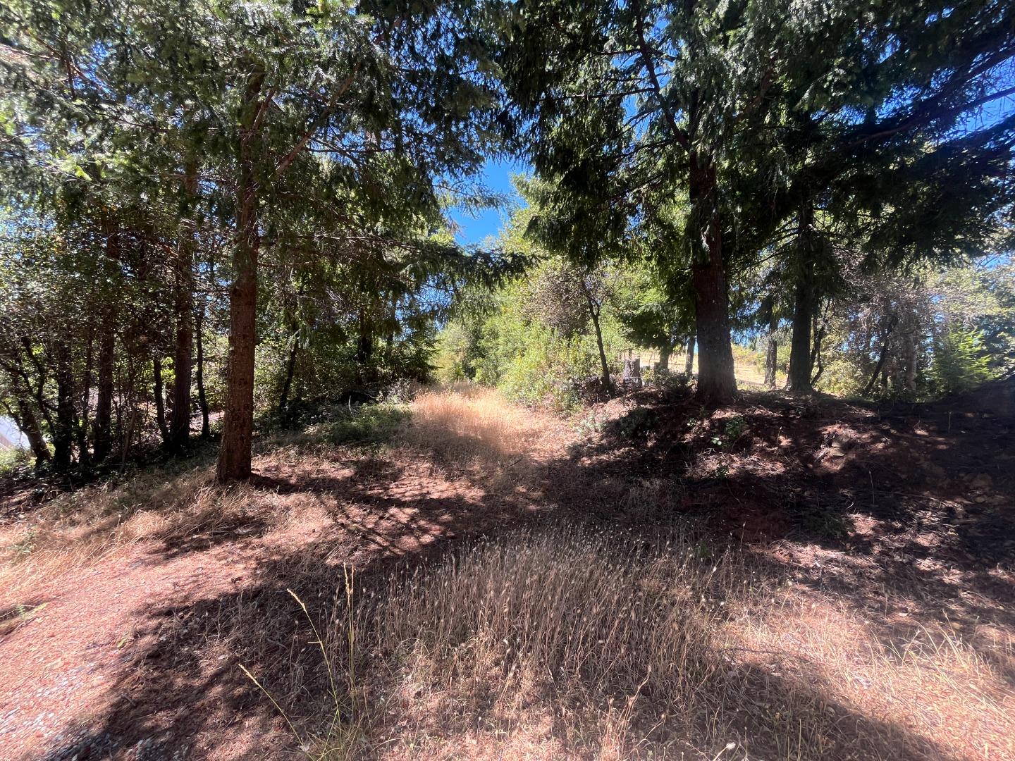 101 Silverline Road Los Gatos, CA 95033 - Photo 19 of 19 a view of trees in a yard