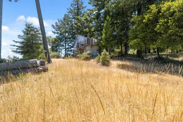 a view of backyard of house with green space and trees around