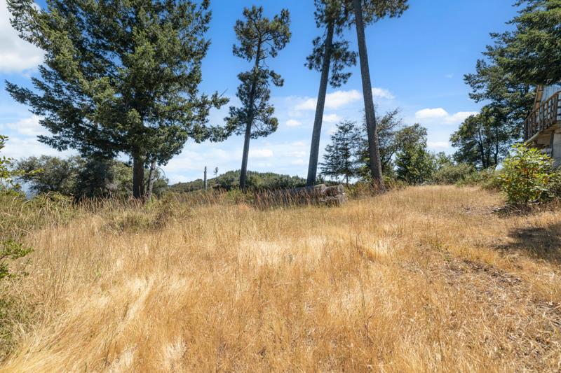 101 Silverline Road Los Gatos, CA 95033 - Photo 8 of 19 a view of a yard in a backyard