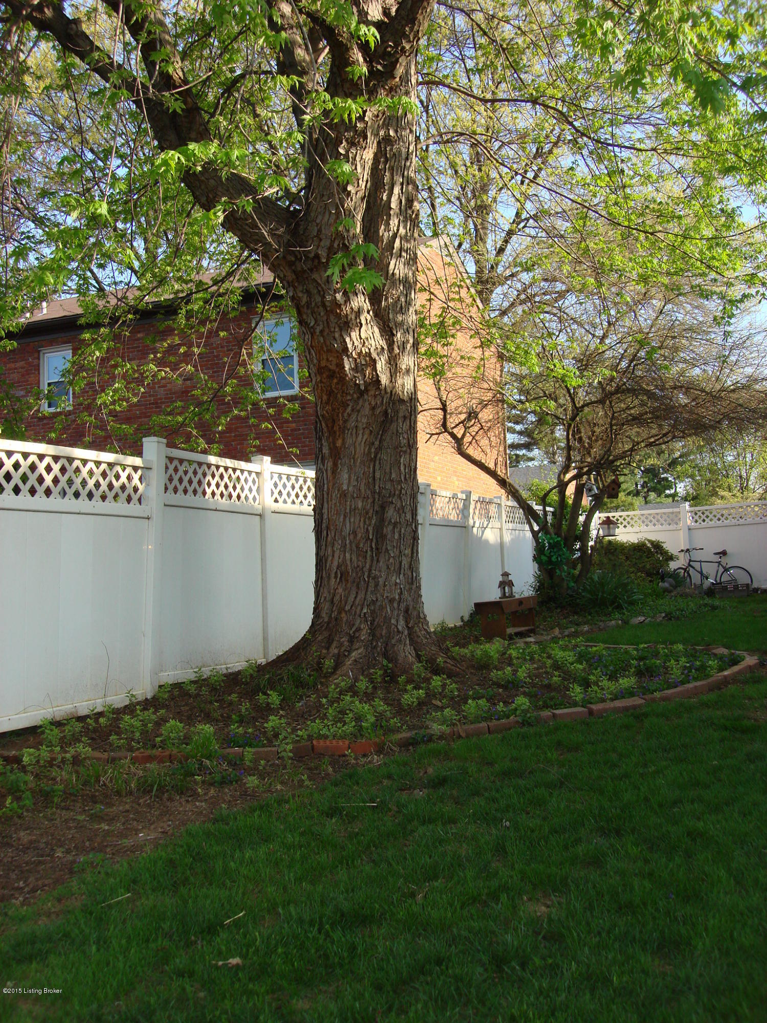 9113 Collingwood Road Louisville, KY 40299 - Photo 27 of 35 Collingwood Back Yard Large Tree Showing