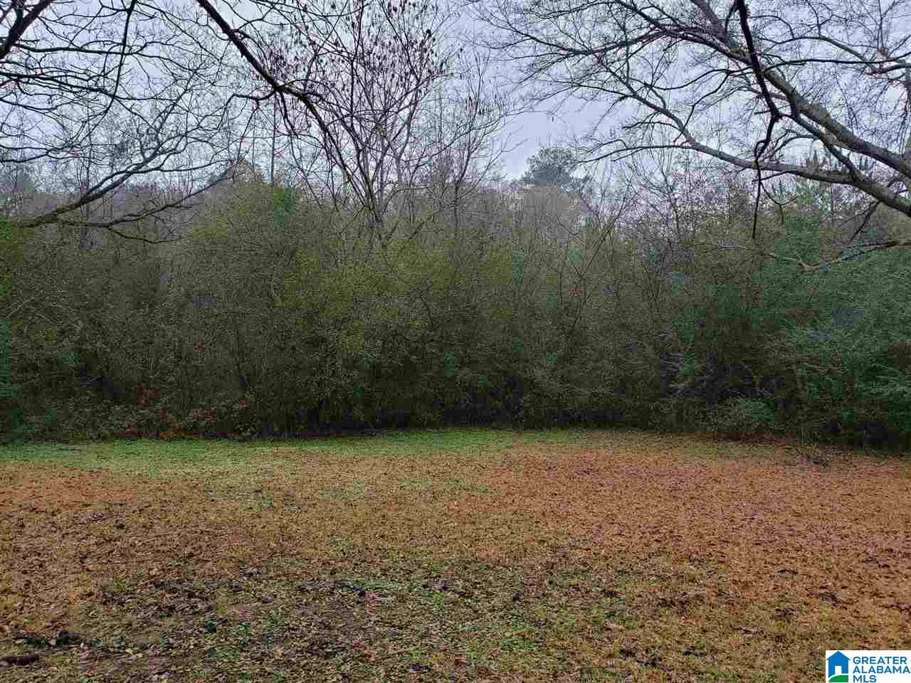 1625 Stemley Bridge Road, Unit 1 Talladega, AL 35160 - Photo 6 of 10