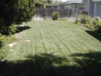 174 West Huntsman Avenue Reedley, CA 93654 - Photo 7 of 7 Gallery Image 7