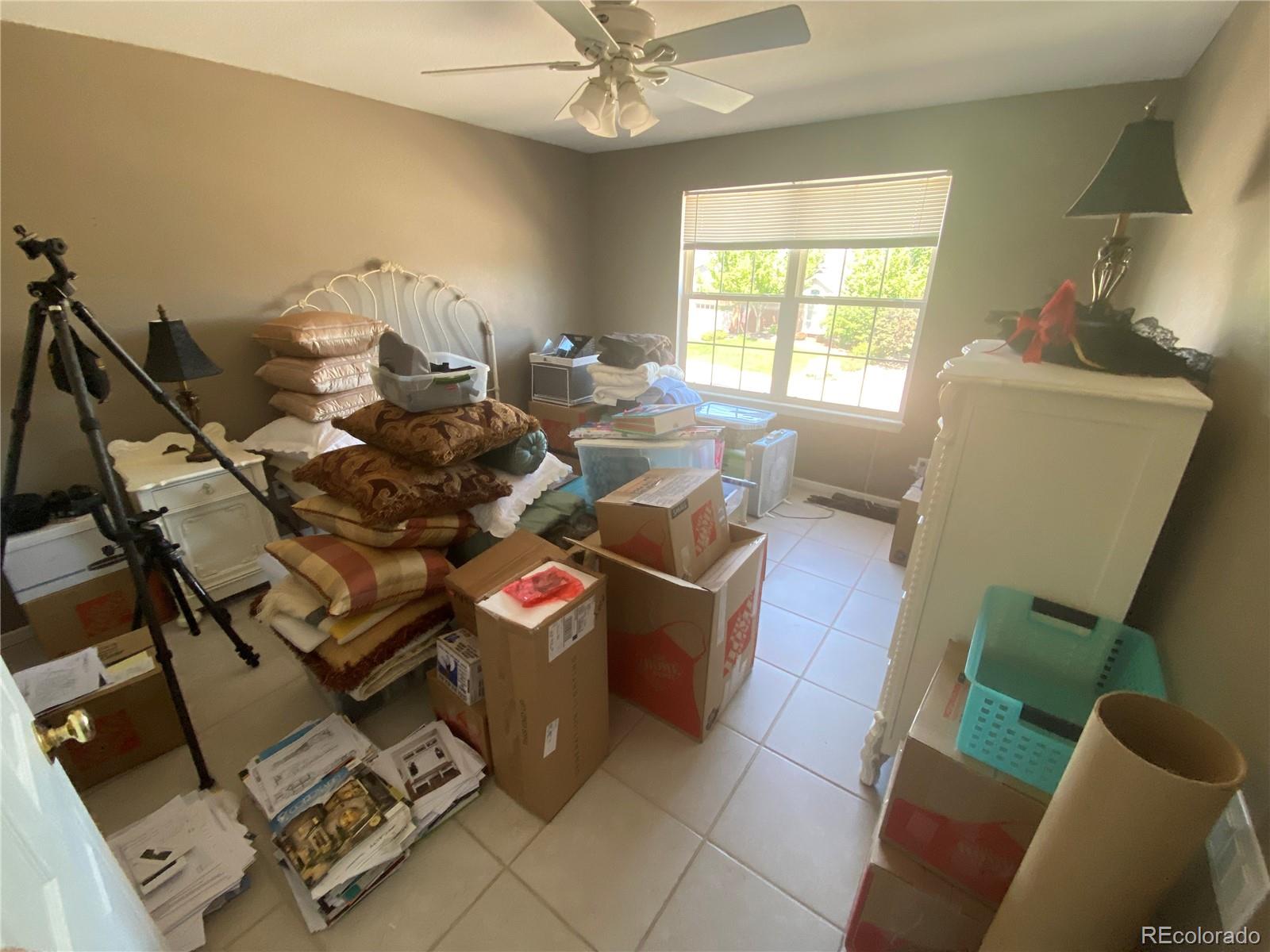 7100 Cerney Circle Castle Pines, CO 80108 - Photo 18 of 22 a living room with furniture and a window