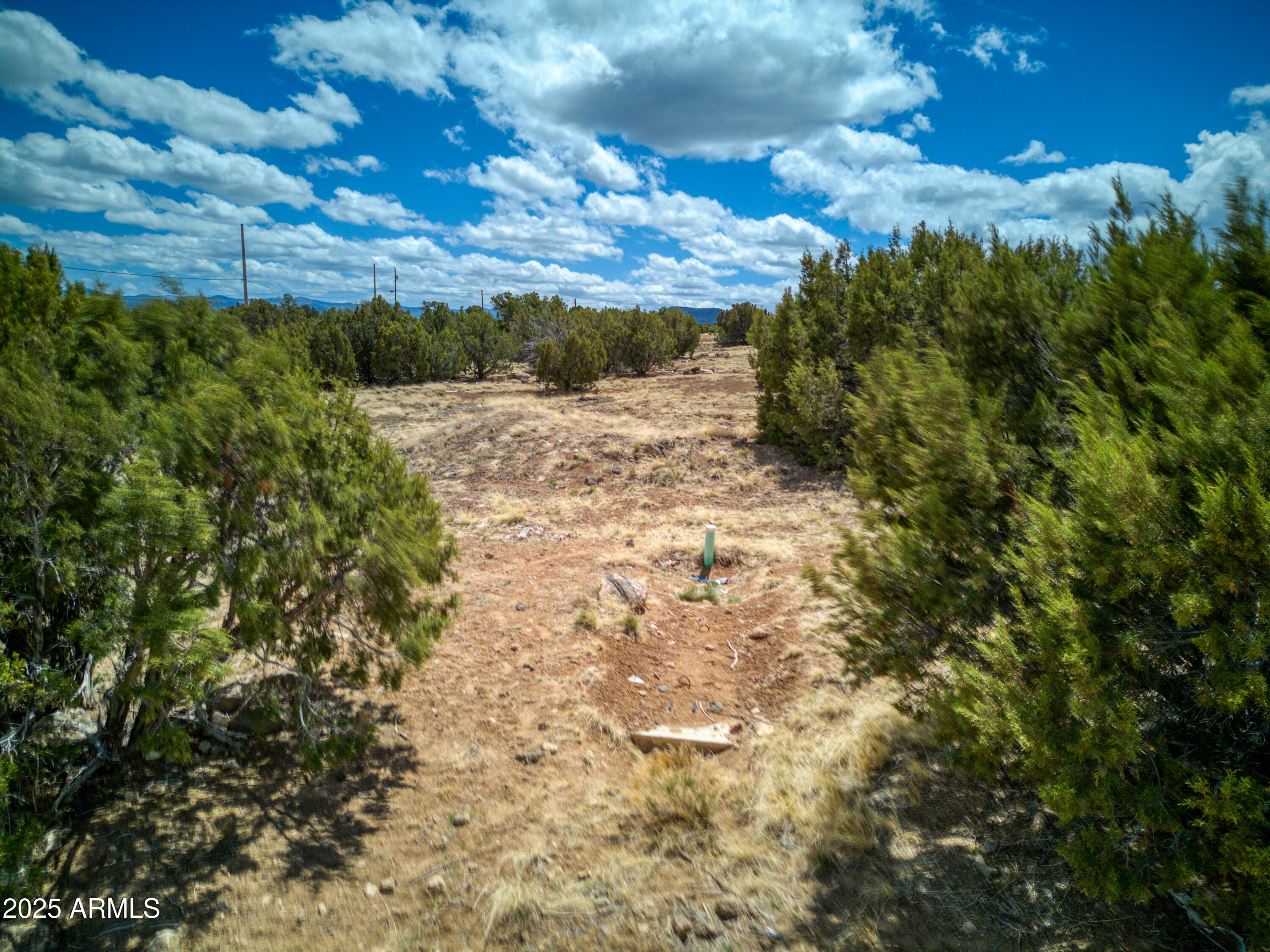 26 County Road 3000 Road Concho, AZ 85924 - Photo 26 of 29