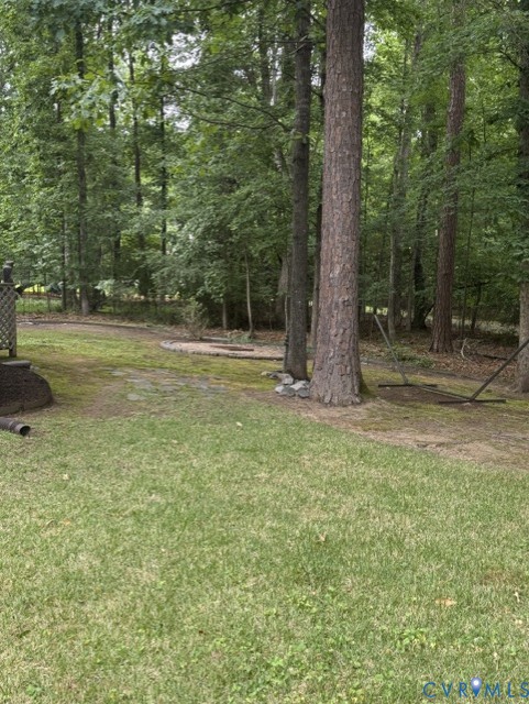 14604 Mill Spring Drive Midlothian, VA 23112 - Photo 28 of 28