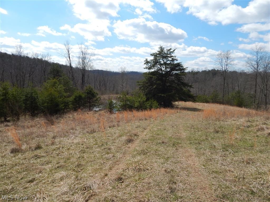 5285 Oil Ridge Harrisville, WV 26362 - Photo 30 of 35 Gallery Image 30
