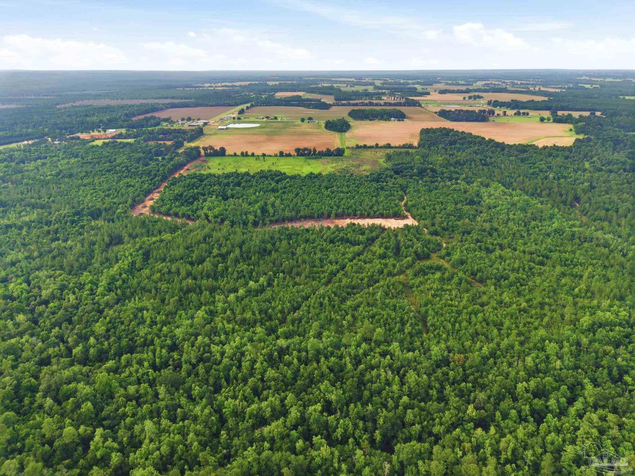 100 Mineral Springs Road Jay, FL 32565 - Photo 10 of 19 an aerial view of a city with lots of residential buildings ocean and mountain view in back