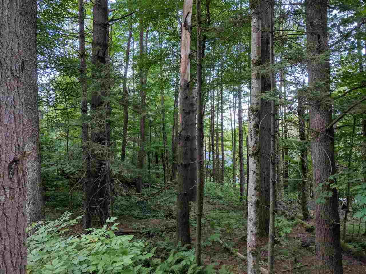 10 Lot Road, Unit 10 Pittsfield, VT 05762 - Photo 1 of 2