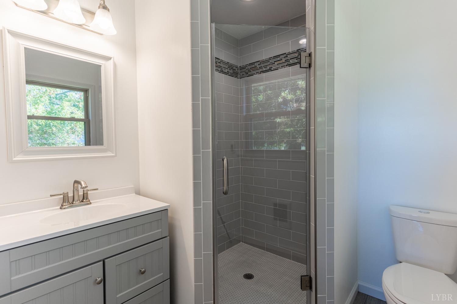 5461 Red House Road Rustburg, VA 24588 - Photo 15 of 47 a bathroom with a shower a sink a toilet and shower