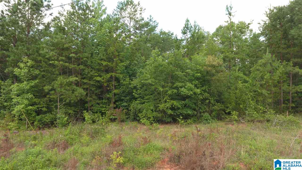 Cobblestone Drive, Unit 8 Wedowee, AL 36278 - Photo 4 of 7