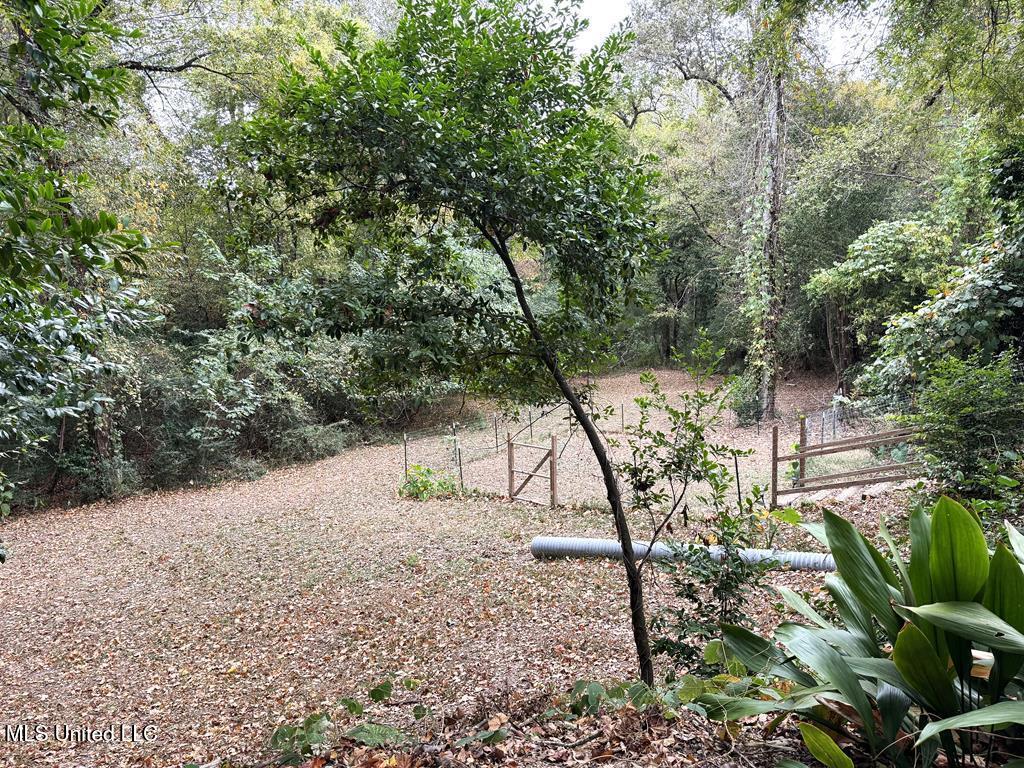 102 Dana Road Natchez, MS 39120 - Photo 41 of 64 20230599_42