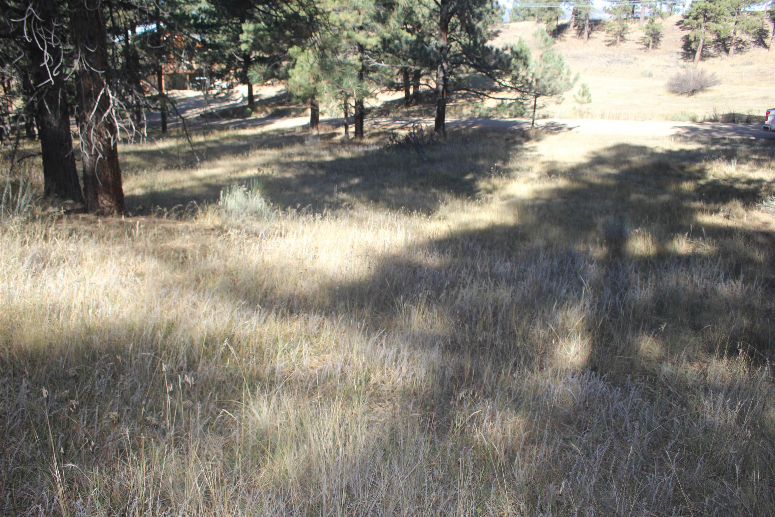 Lot 41 Valley Road Angel Fire, NM 87710 - Photo 1 of 12 Gallery Image 1
