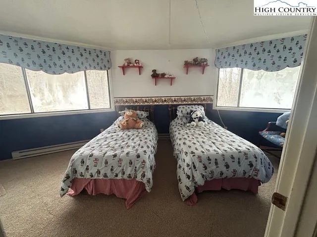 a view of a yard with plants and large trees