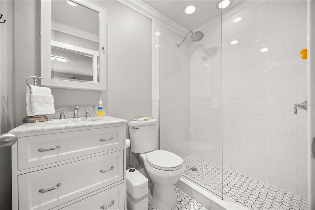 815 Spring Park Loop Celebration, FL 34747 - Photo 21 of 51 a bathroom with a sink a toilet and shower