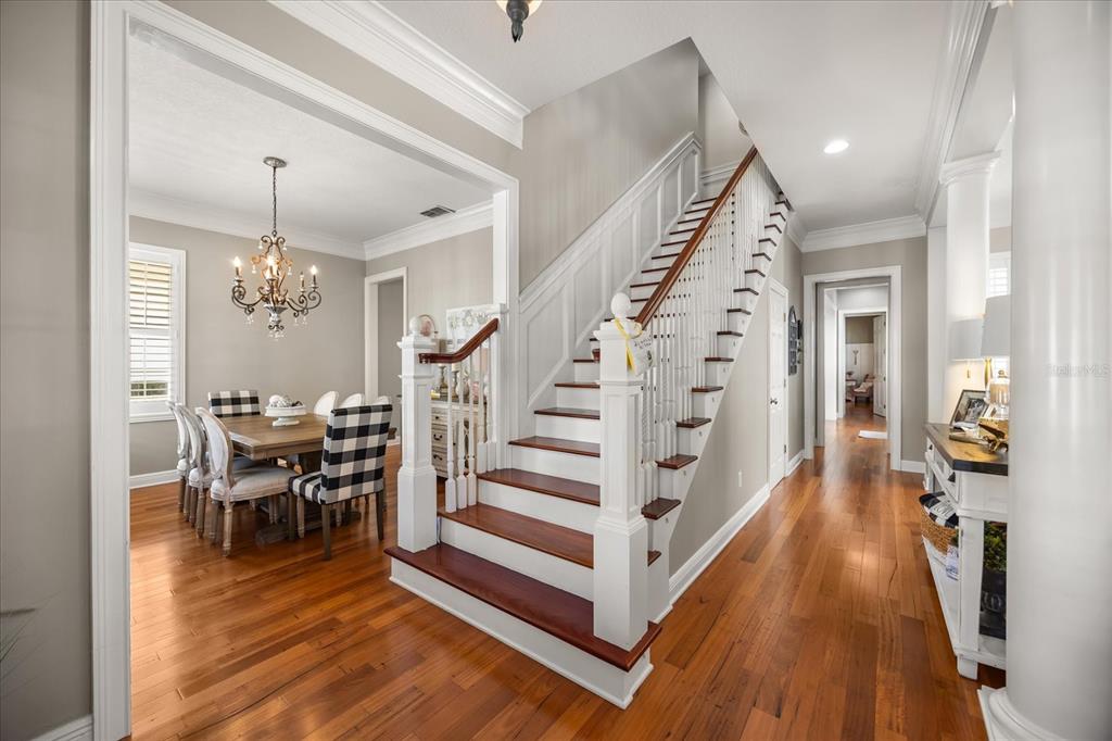 815 Spring Park Loop Celebration, FL 34747 - Photo 6 of 51 a view of a livingroom with furniture and hardwood floor