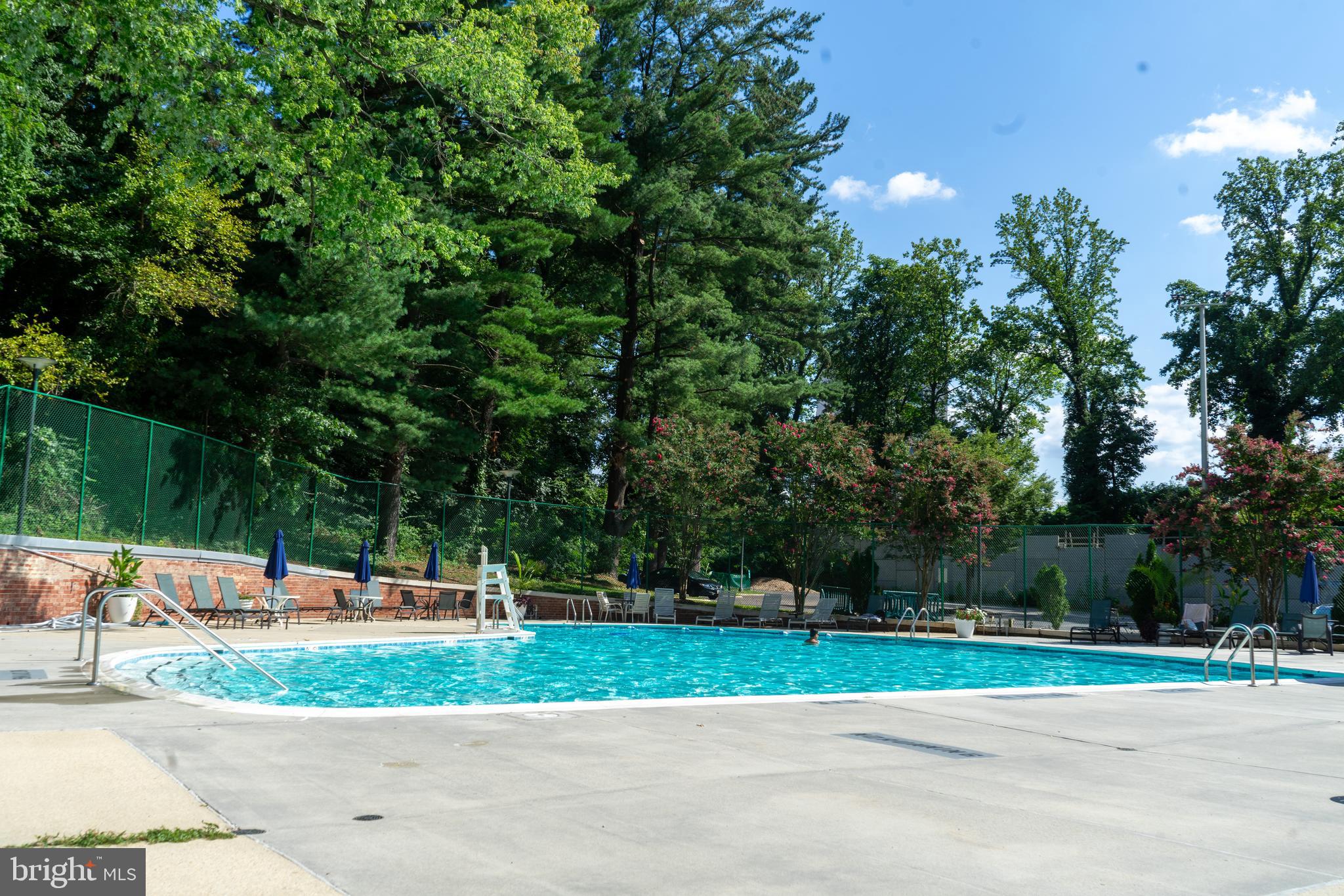 1900 Lyttonsville Road, Unit 612 Silver Spring, MD 20910 - Photo 12 of 19