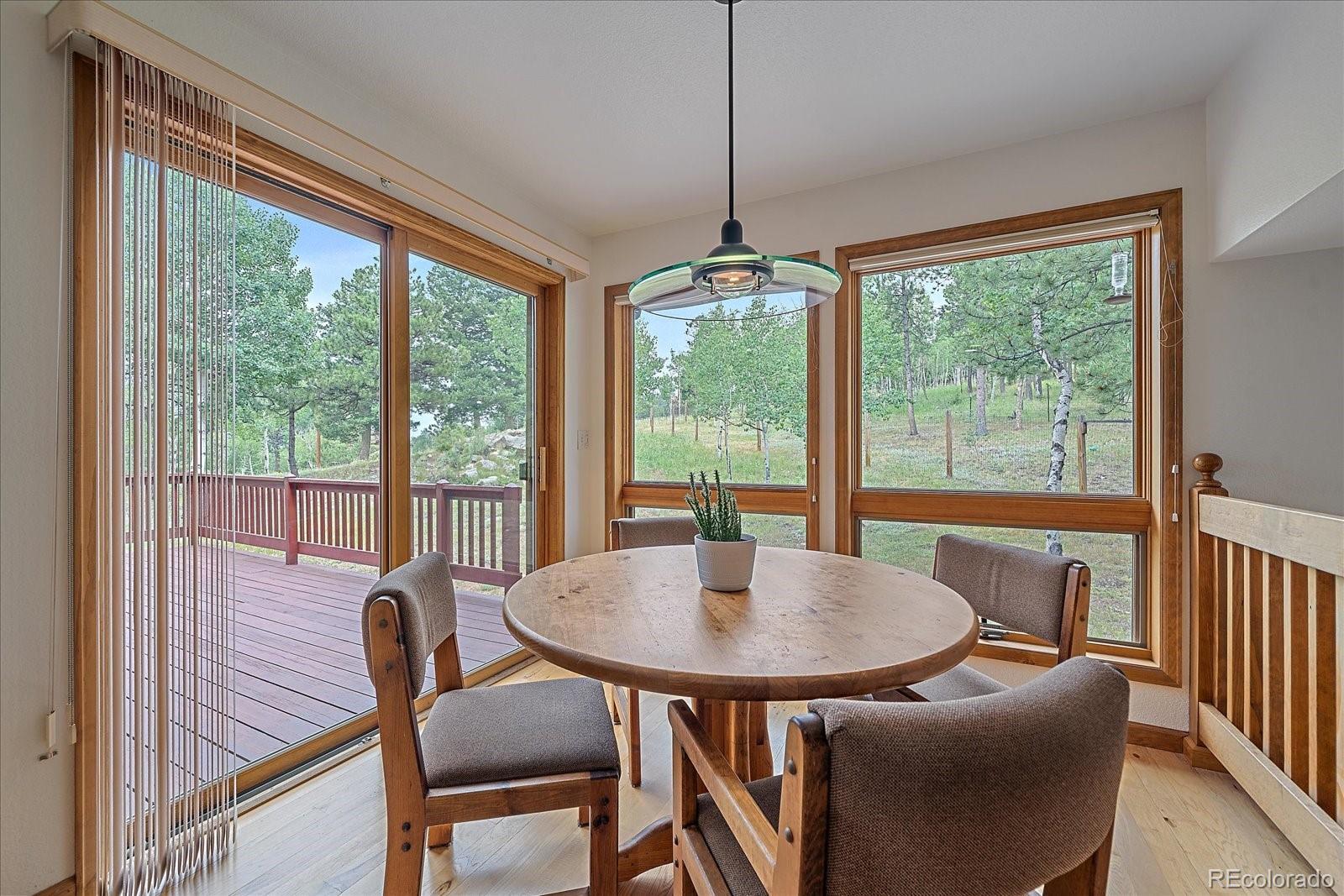 454 Bluebird Lane Bailey, CO 80421 - Photo 17 of 50 Gallery Image 17