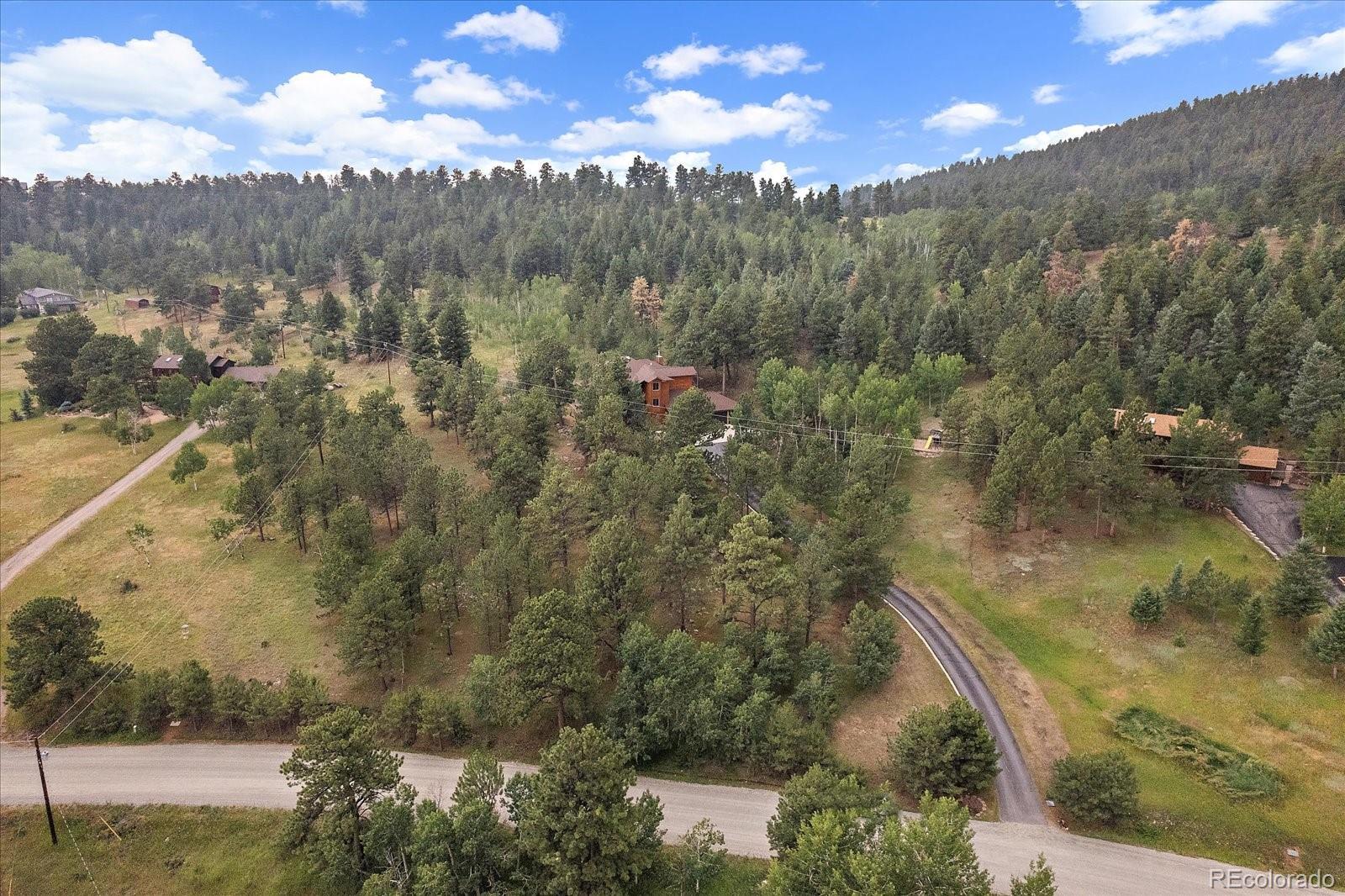 454 Bluebird Lane Bailey, CO 80421 - Photo 2 of 50 Gallery Image 2