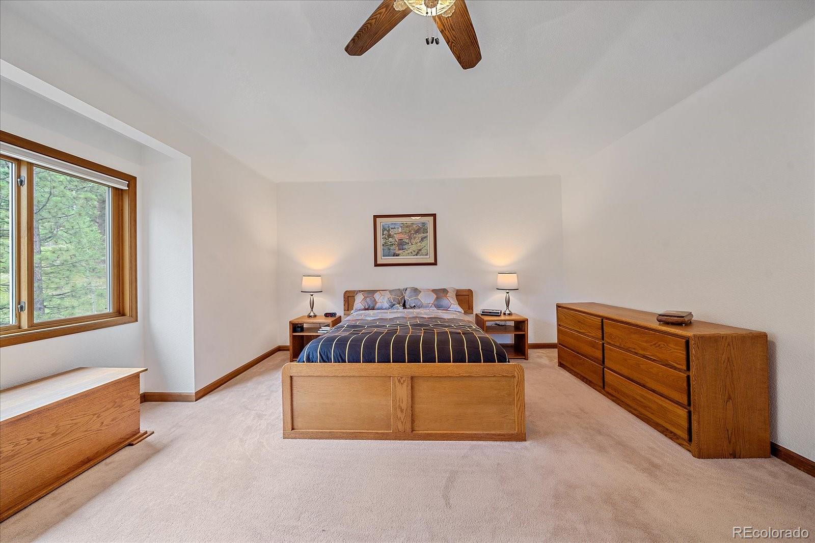 454 Bluebird Lane Bailey, CO 80421 - Photo 29 of 50 Gallery Image 29