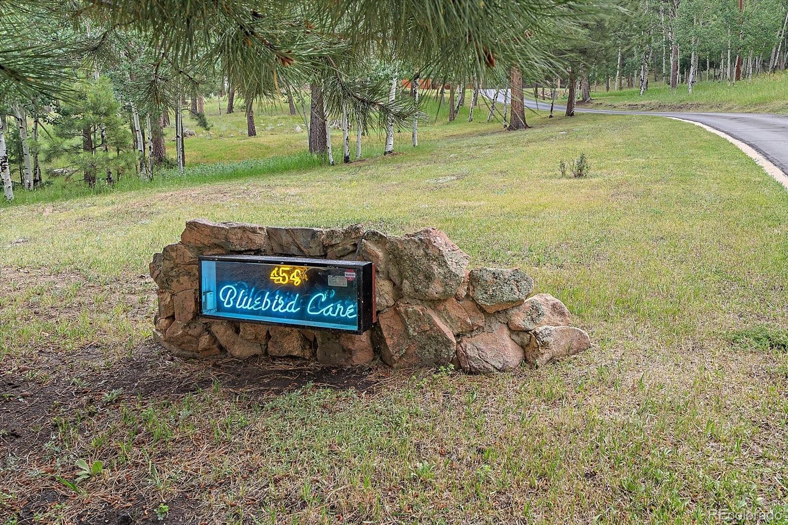 454 Bluebird Lane Bailey, CO 80421 - Photo 3 of 50 Gallery Image 3