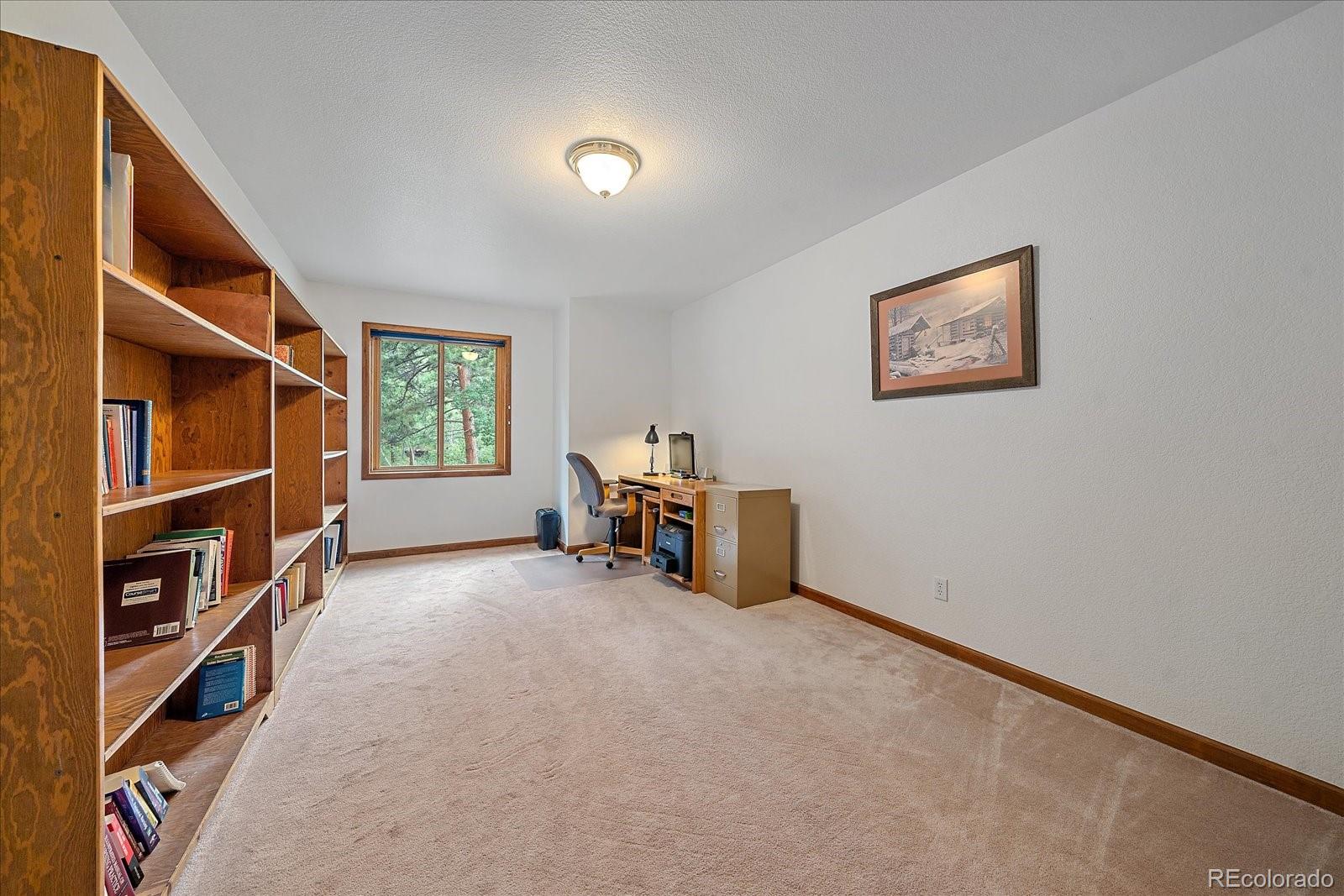 454 Bluebird Lane Bailey, CO 80421 - Photo 32 of 50 Gallery Image 32