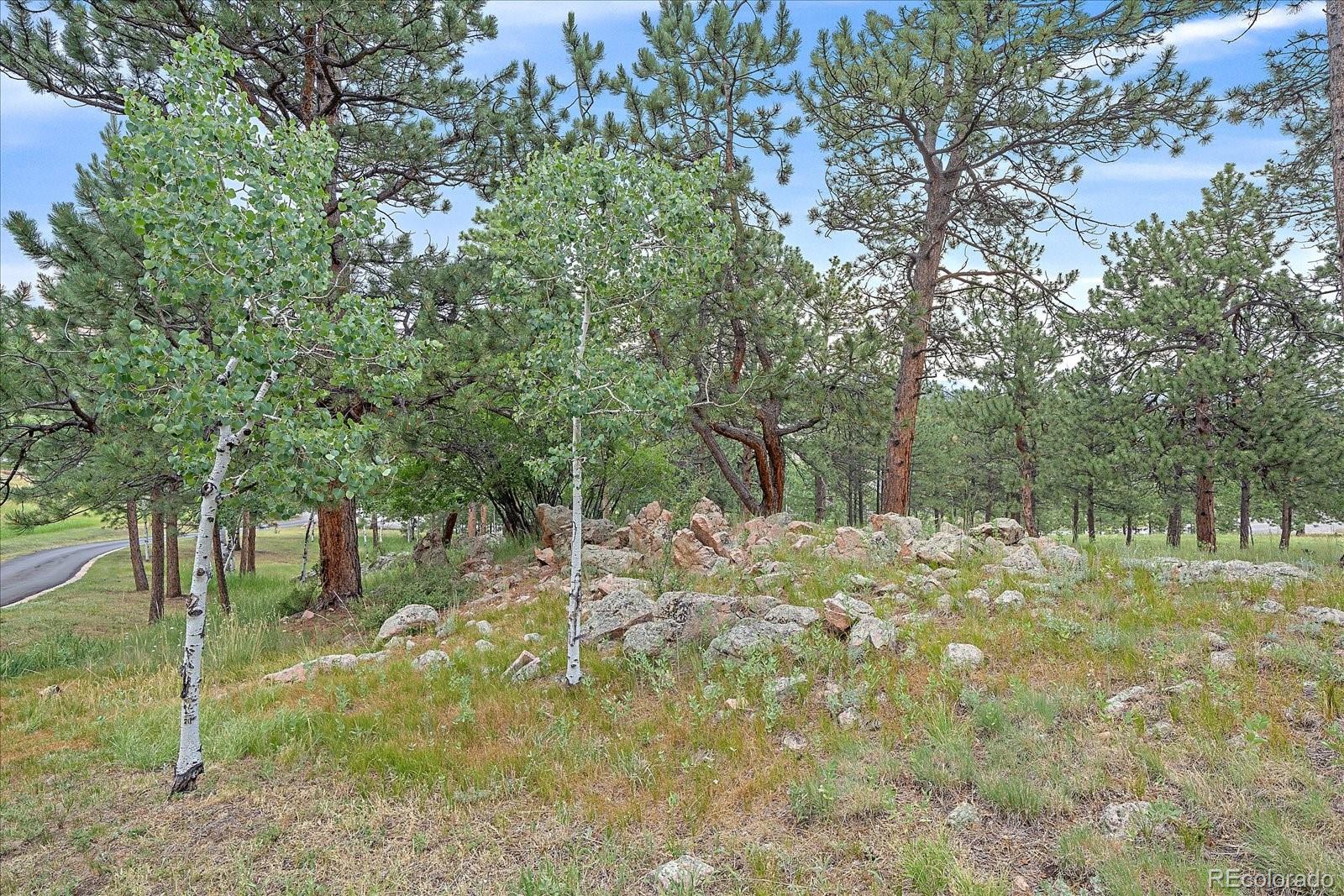 454 Bluebird Lane Bailey, CO 80421 - Photo 45 of 50 Gallery Image 45
