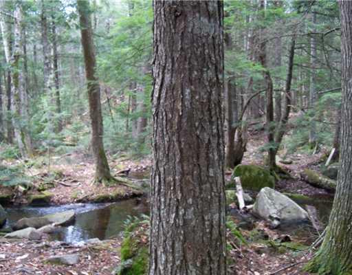 Lot 1 Mcgregor Road Burlington, ME 04417 - Photo 18 of 25 View.