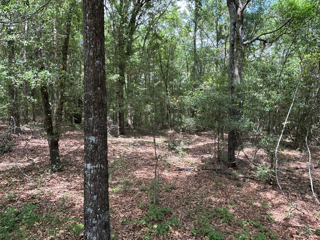 10907-44 -ac) Cty Road Hartford, AL 36344 - Photo 45 of 52