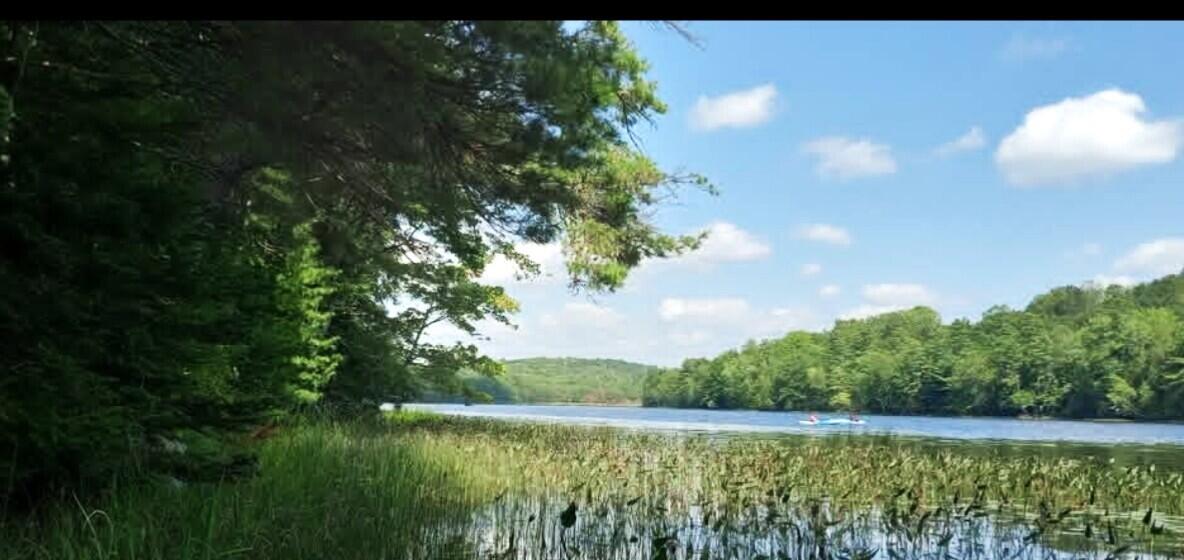 51 Parmenter Road Palermo, ME 04354 - Photo 20 of 31 Pond