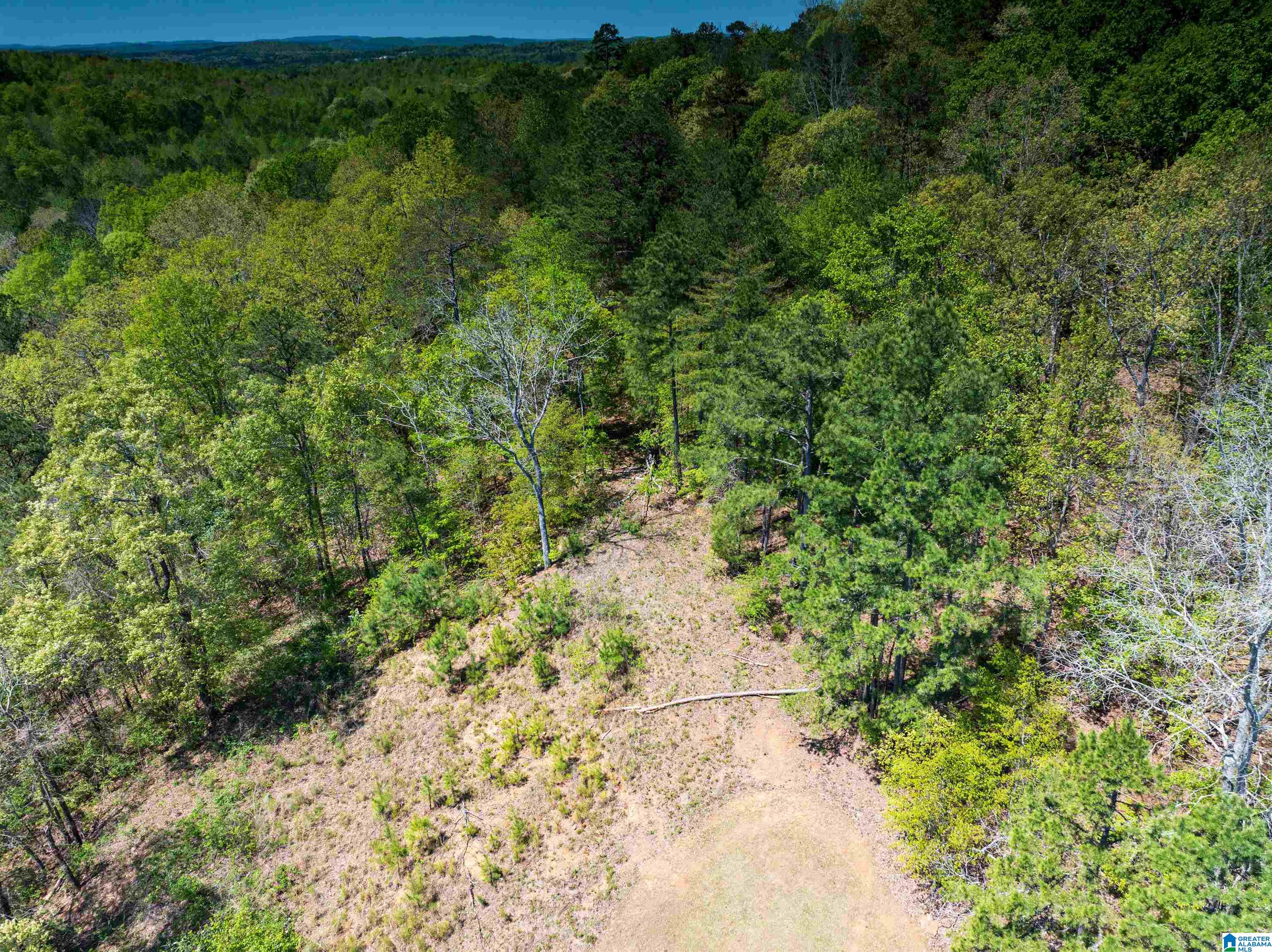 0 Pike Hill Road Ashville, AL 35953 - Photo 20 of 22