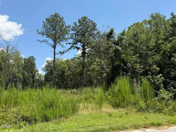 $425,000 | 2210 Harris Road, Rougemont, NC 27572