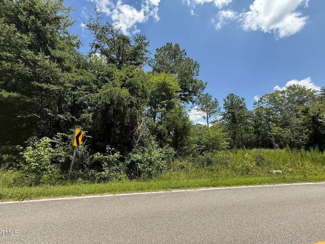 a view of outdoor space and garden
