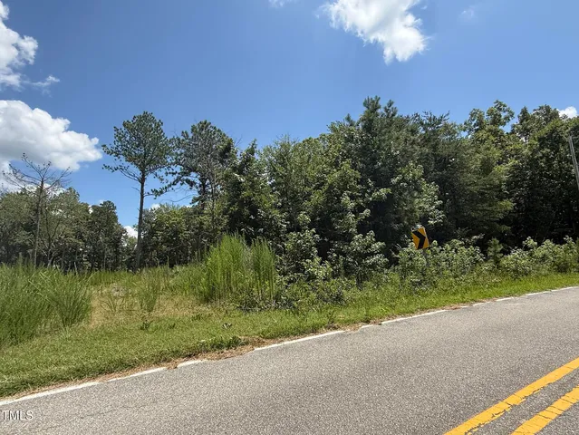 a view of a garden with a tree
